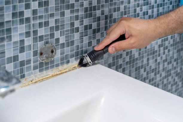 Certified Mold Removal in Bad Axe, MI