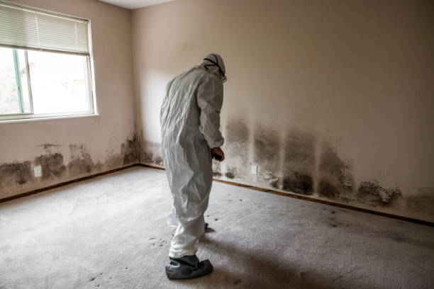 Best Mold Testing  in Bad Axe, MI